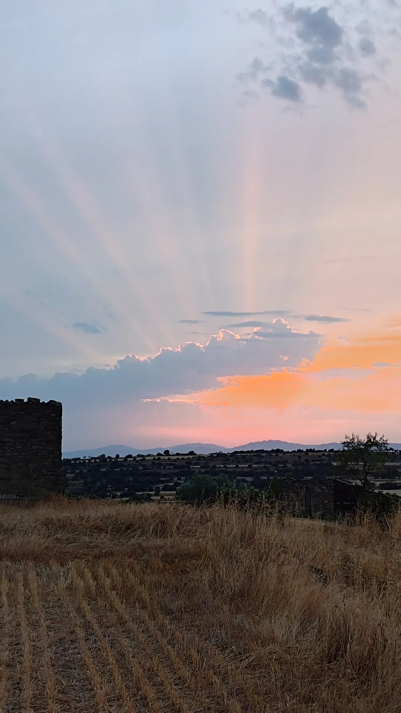 Des rayons crépusculaires en éventail au-dessus d'un mur de pierre sèche en ruine, dans un champ de chaume rayé par les andains après la moisson.