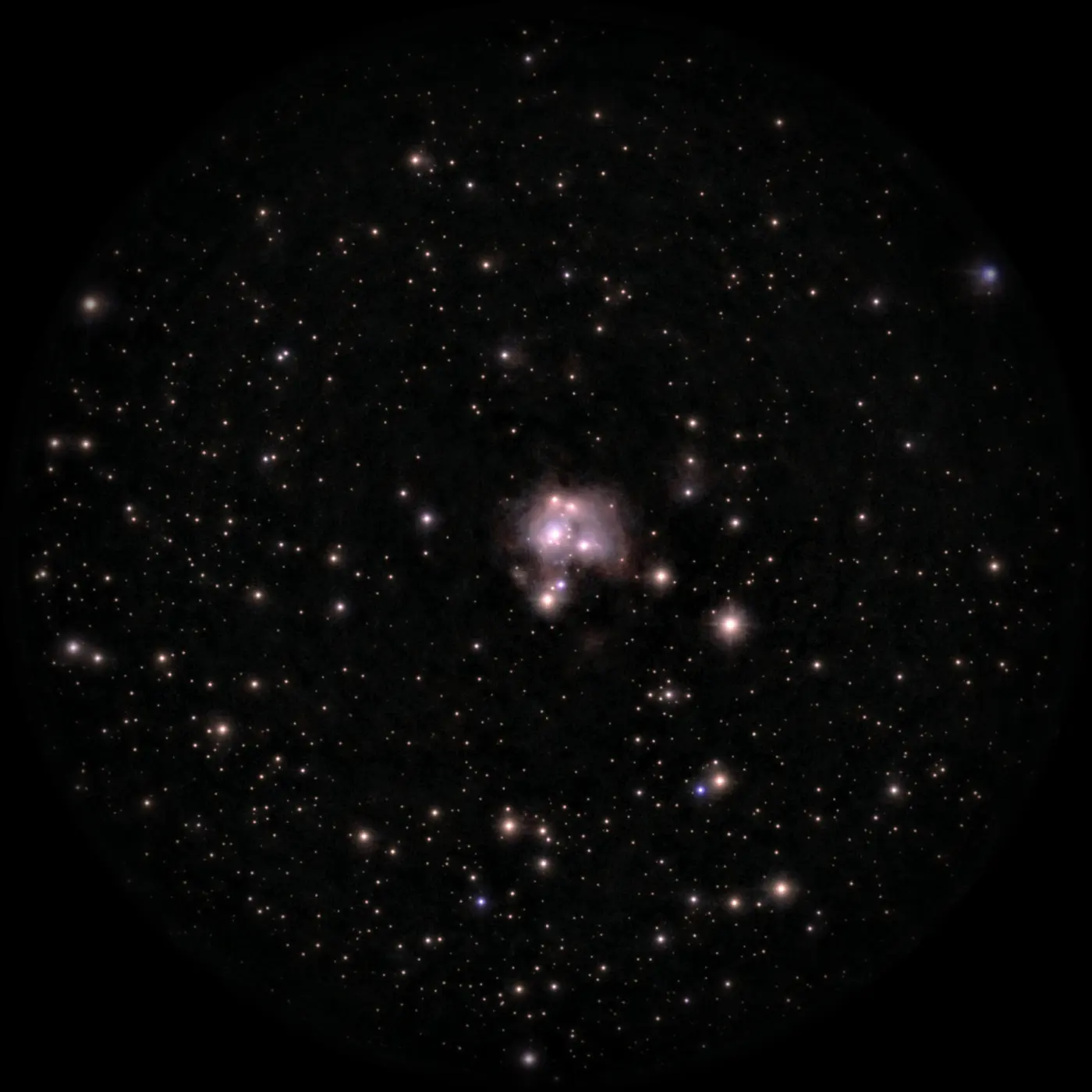 NGC 7129, Amas et nébuleuse par réflexion
