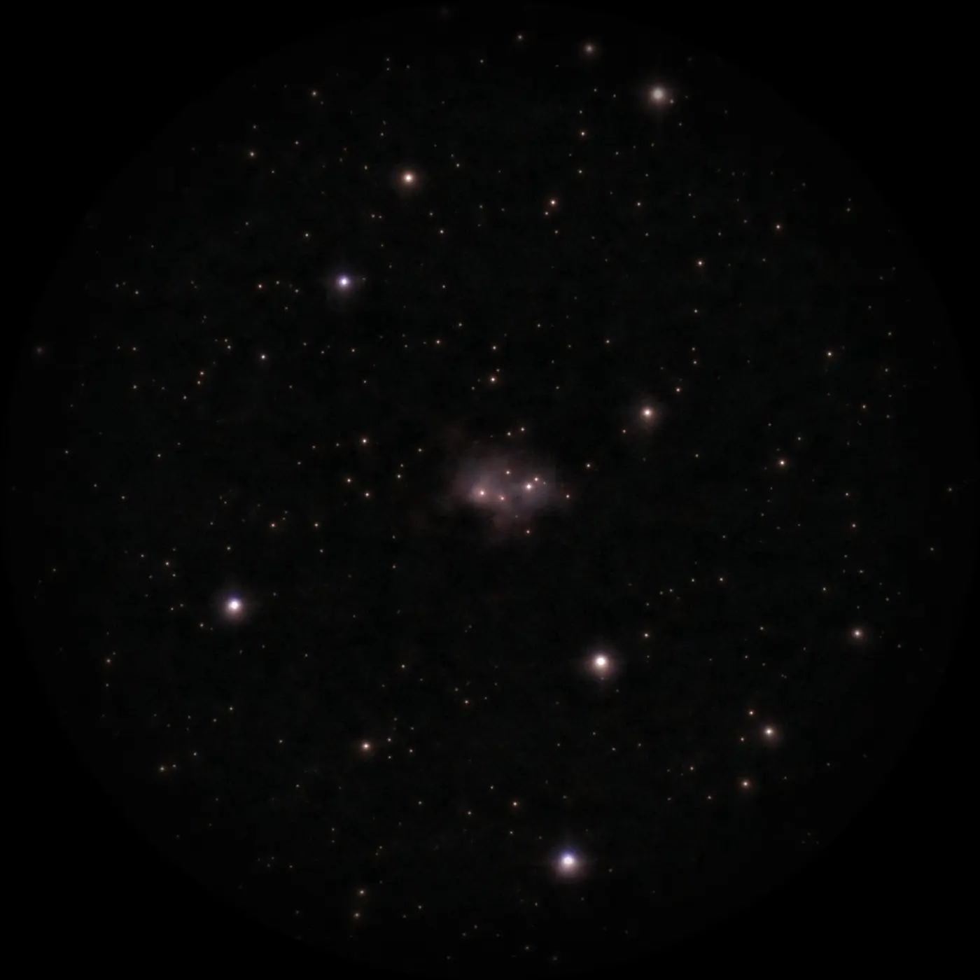 NGC 1788, Nébuleuse de la Chauve-Souris