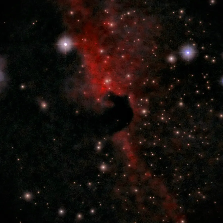 IC 434, Nébuleuse de la Tête de Cheval, dans la constellation Orion