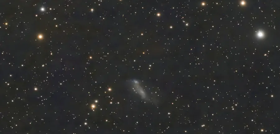 IC 2574, Nébuleuse de Coddington, dans la constellation Grande Ourse